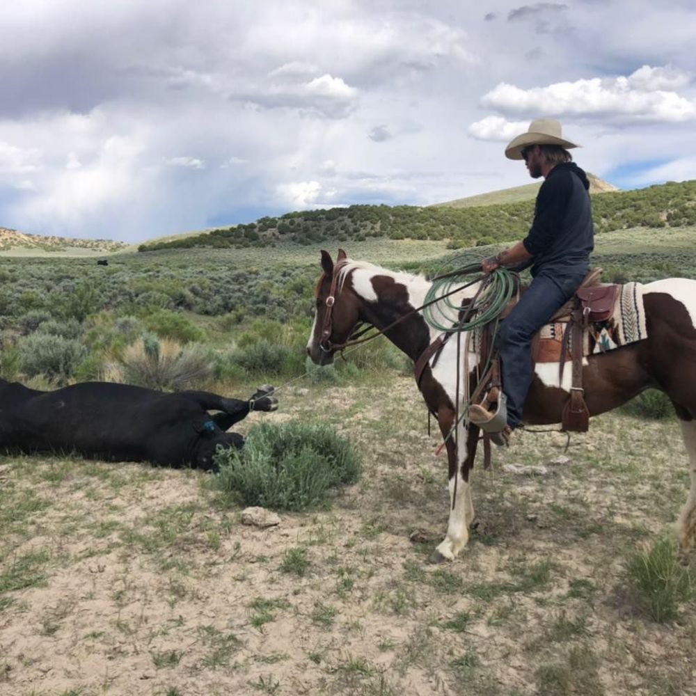 Meet your Posher, London